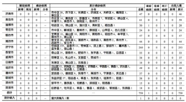 烟台最新病例详解，步骤指南与最新动态关注