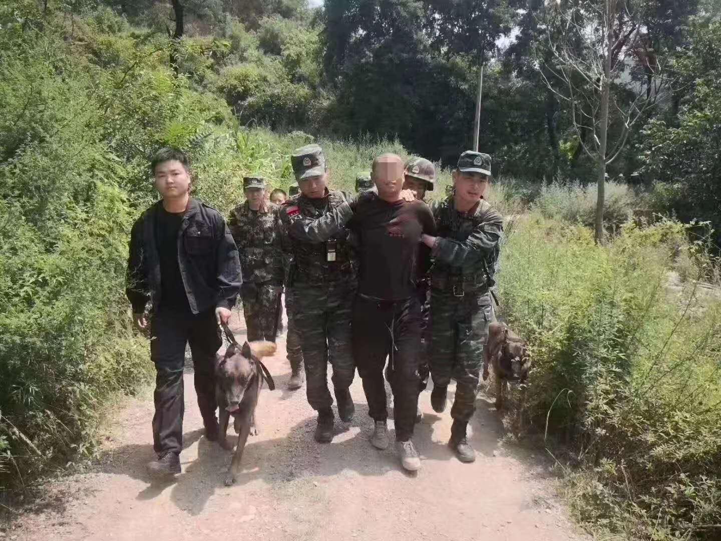 凤翔705最新科技产品重塑未来生活体验的革命之作