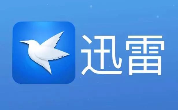 迅雷最新企业，小巷中的独特魅力与特色小店的隐藏瑰宝